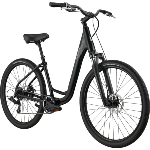 Cannondale Adventure 2